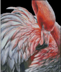 (image for) Flamingo 3